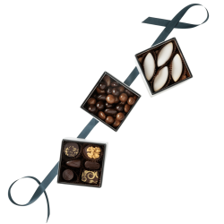 Coffret Dégustation Noël Blanc 1.025kg - chocolaterie de Puyricard