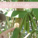 Voyage dans les plantations de Madagascar
